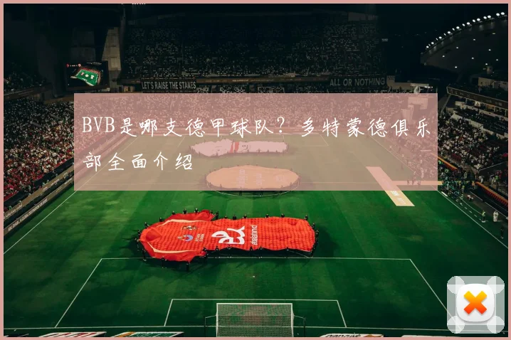 BVB是哪支德甲球队？多特蒙德俱乐部全面介绍
