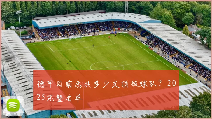 德甲目前总共多少支顶级球队？2025完整名单