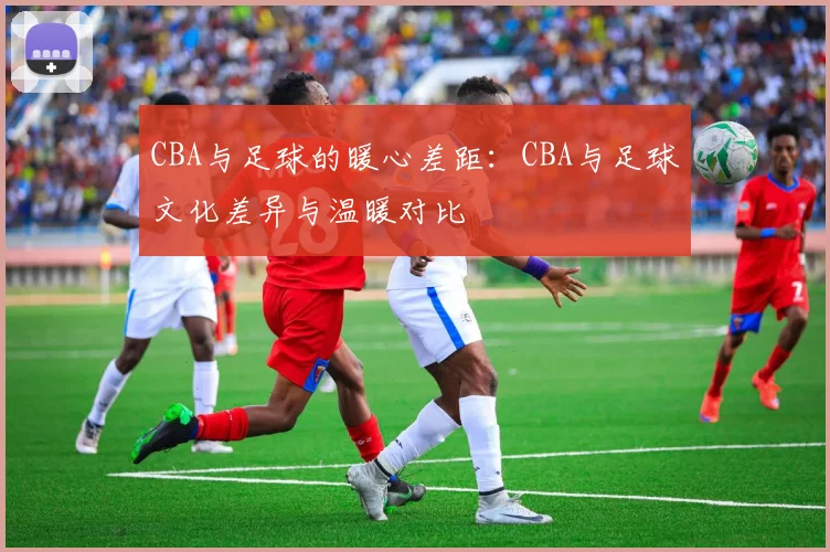 CBA与足球的暖心差距：CBA与足球文化差异与温暖对比